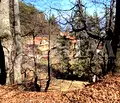 Снимка 3 — Парцел в Пловдив, с. Бойково