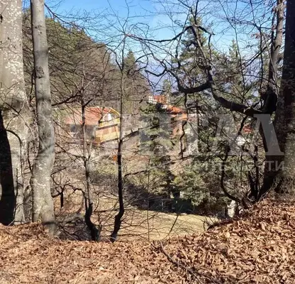Снимка 3 — Парцел в Пловдив, с. Бойково