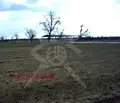 Снимка 3 — Парцел в Пловдив, с. Калояново
