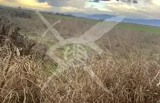 Парцел в Пловдив, с. Крислово
