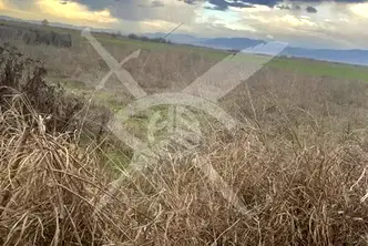 Парцел в Пловдив, с. Крислово