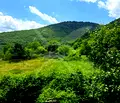 Снимка 2 — Парцел в Пловдив, с. Орешец