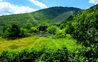 Парцел в Пловдив, с. Орешец
