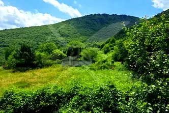 Парцел в Пловдив, с. Орешец