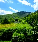 Парцел в Пловдив, с. Орешец