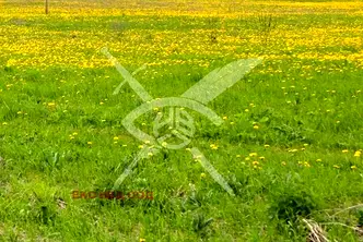 Парцел в Пловдив, с. Оризари