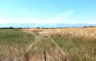 Парцел в Пловдив, с. Войводиново