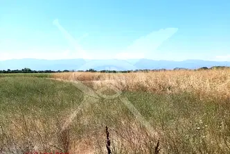 Парцел в Пловдив, с. Войводиново