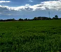 Снимка 3 — Парцел в Пловдив, с. Ягодово