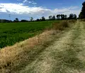Снимка 4 — Парцел в Пловдив, с. Ягодово