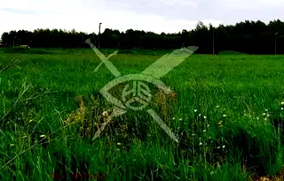 Парцел в Пловдив, с. Ягодово