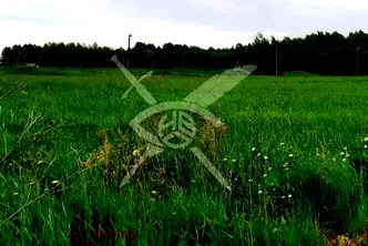 Парцел в Пловдив, с. Ягодово