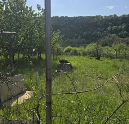 Photo 4 — Plot in Oblast Ruse, Basarbovo