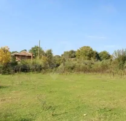 Photo 2 — Plot in Oblast Ruse, Dryanovec