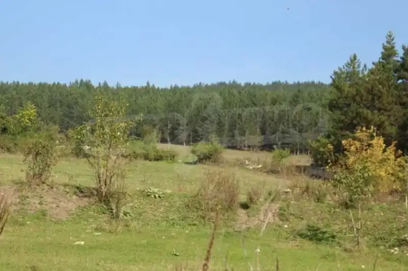 Plot in Oblast Ruse, Dryanovec