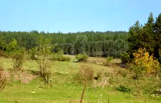Парцел в Русе, с. Дряновец