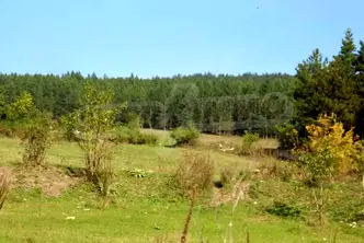 Парцел в Русе, с. Дряновец