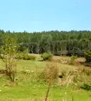 Парцел в Русе, с. Дряновец