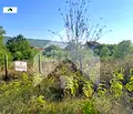 Снимка 4 — Парцел в Шумен, Каспичан
