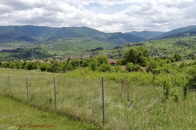 Plot in Smolyan, Hvoina
