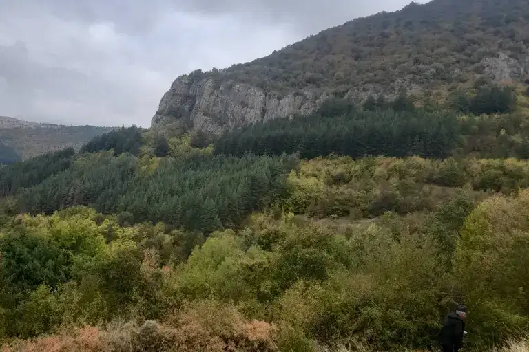Парцел в София, с. Брезе
