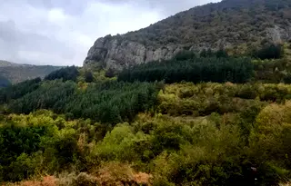 Парцел в София, с. Брезе