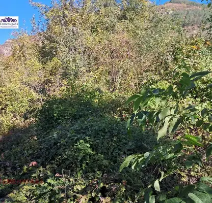 Photo 2 — Plot in област София, Cerovo