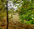 Снимка 5 — Парцел в София, с. Костенец