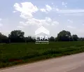 Снимка 3 — Парцел в София, с. Петърч