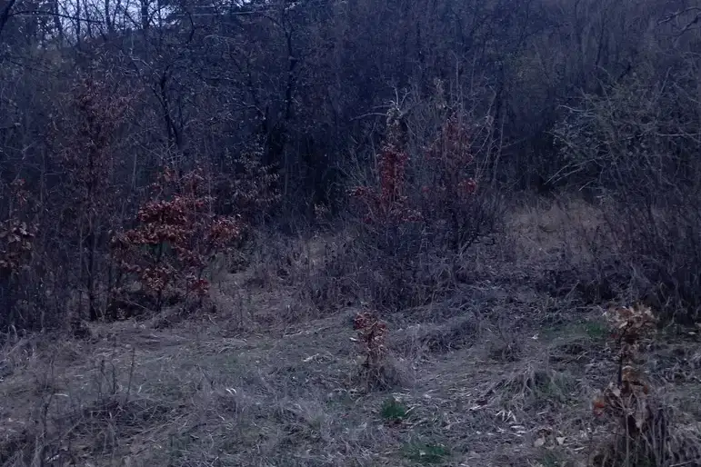 Парцел в София, с. Реброво