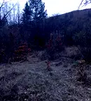 Парцел в София, с. Реброво