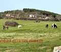 Снимка 4 — Парцел в София, Годеч