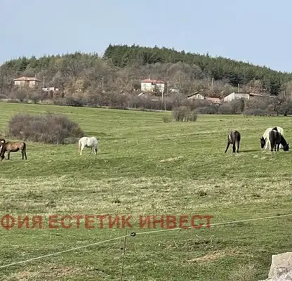 Снимка 4 — Парцел в София, Годеч