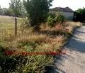 Снимка 2 — Парцел в Стара Загора, с. Калояновец