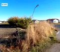 Снимка 5 — Парцел в Стара Загора, с. Могила
