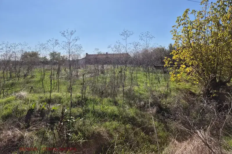 Plot in Oblast Stara Zagora, Syrnevo