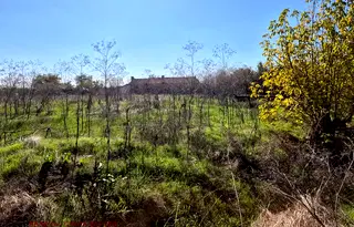 Парцел в Стара Загора, с. Сърнево