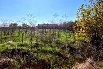 Парцел в Стара Загора, с. Сърнево