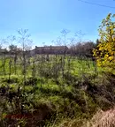 Парцел в Стара Загора, с. Сърнево