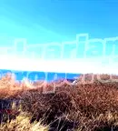 Парцел във Варна, Бяла