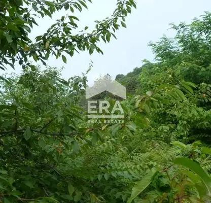 Photo 2 — Plot in Oblast Varna, Ignatievo