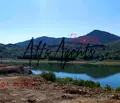 Снимка 4 — Парцел във Варна, с. Аспарухово