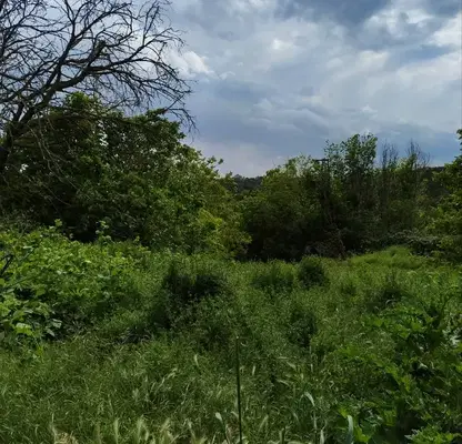 Photo 3 — Plot in Oblast Varna, Bliznaci