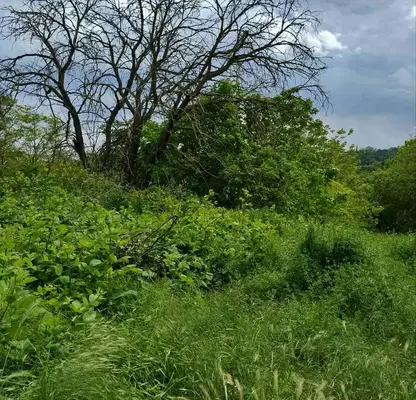 Photo 4 — Plot in Oblast Varna, Bliznaci
