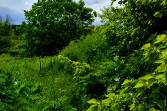 Парцел във Варна, с. Близнаци