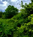 Парцел във Варна, с. Близнаци