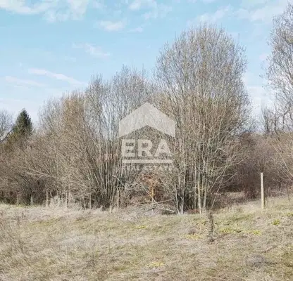 Photo 5 — Plot in Oblast Varna, Krumovo
