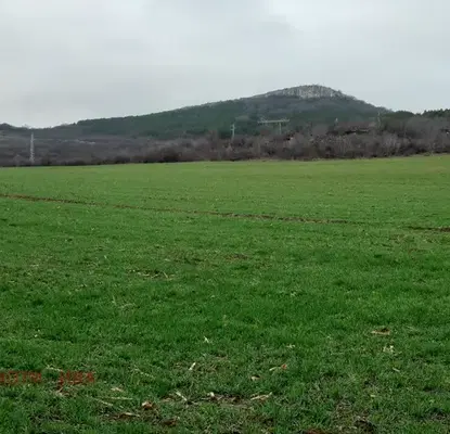 Photo 3 — Plot in Oblast Veliko Tyrnovo, Gorna Oryahovica