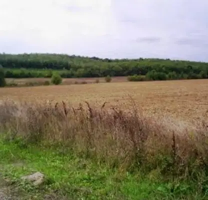 Photo 2 — Plot in Oblast Veliko Tyrnovo, Kilifarevo