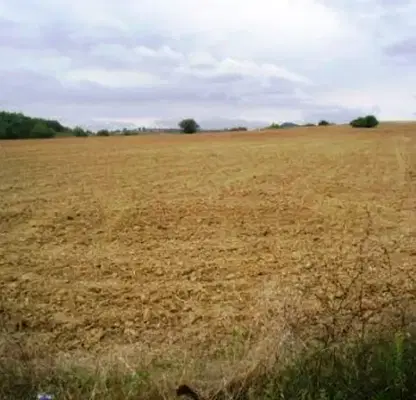 Photo 4 — Plot in Oblast Veliko Tyrnovo, Kilifarevo
